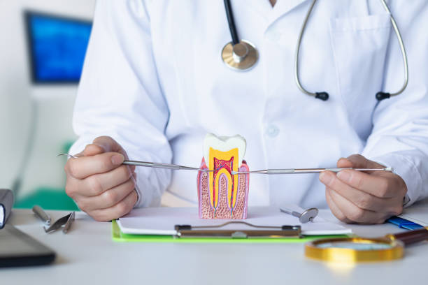 Best Emergency Dental Extractions in Kenworth, IL